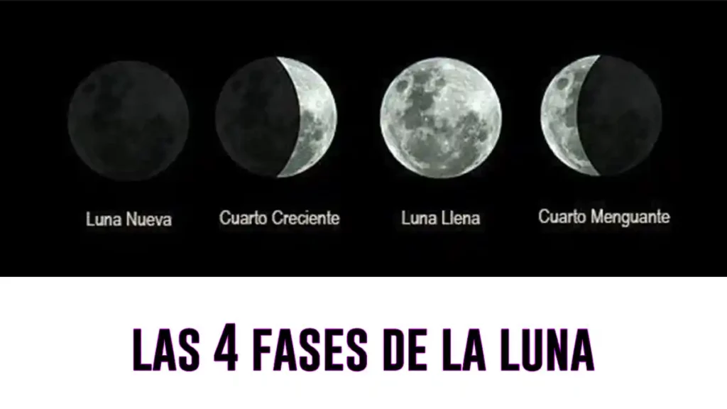4 fases de la luna