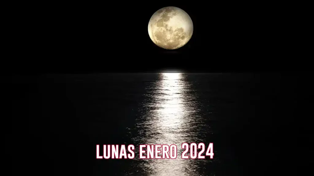LUNAS ENERO 2024