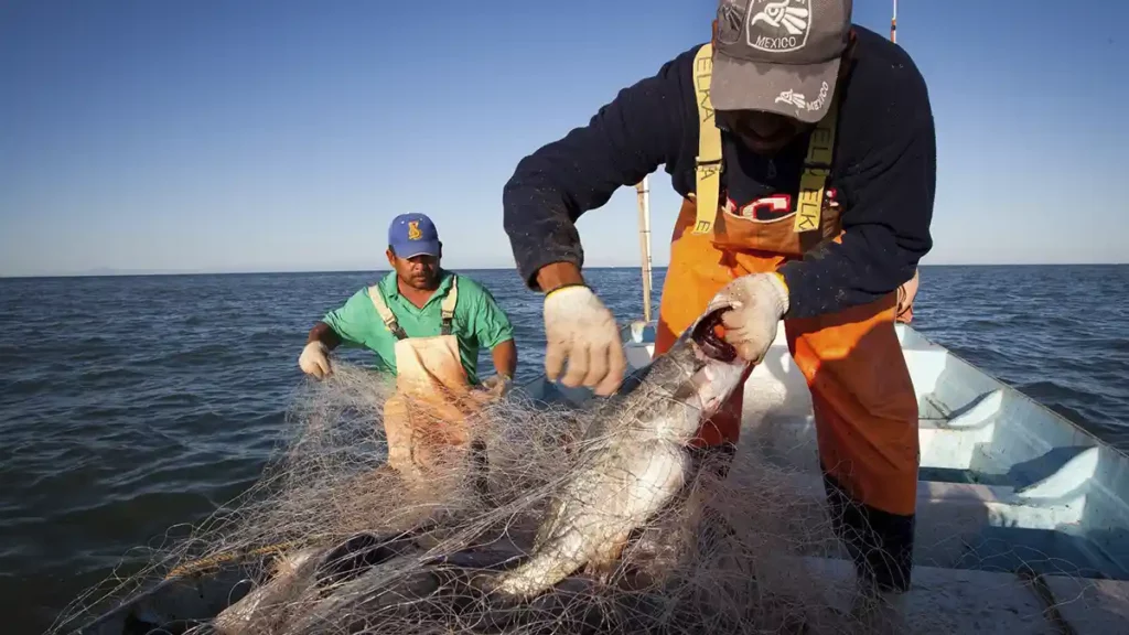 Calendario lunar pesca 2024