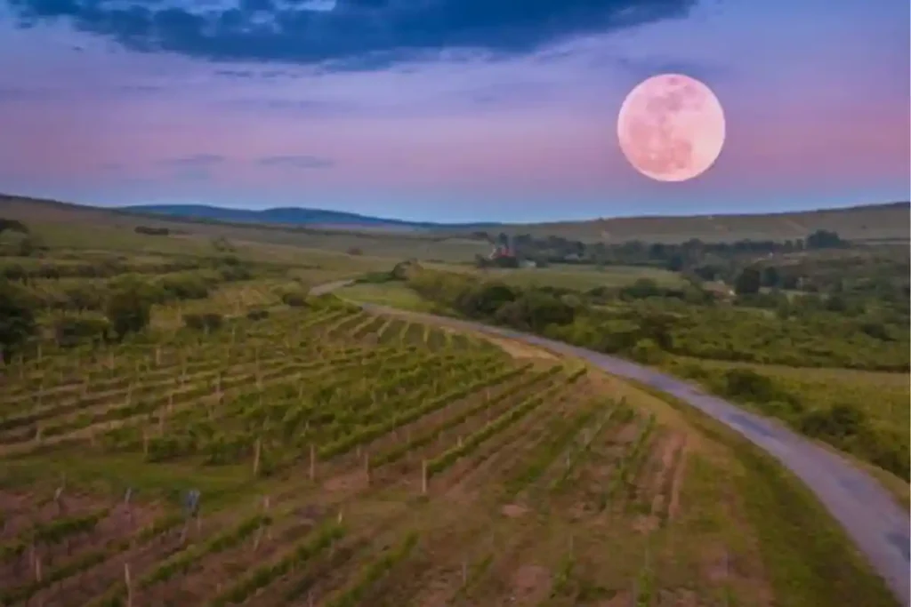 fases lunares en la agricultura