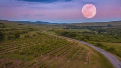 fases lunares en la agricultura